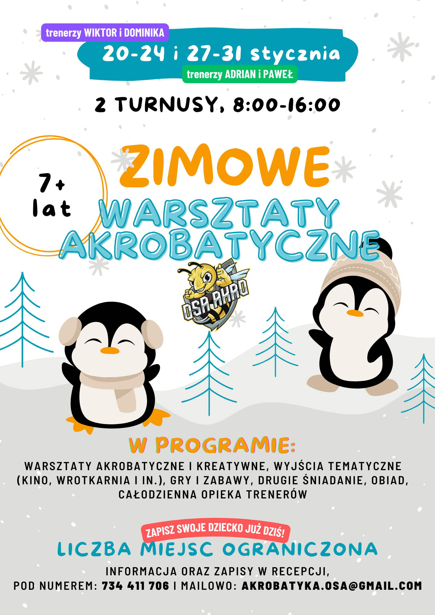 Zimowe Warsztaty Akrobatyczne 🌟 - Zapisz dziecko już dziś!